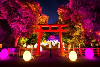 チームラボ作品で京都の世界遺産が光のアート空間になる「下鴨神社 糺の森の光の祭」