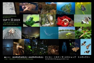 「SSP大賞2019 一般公募自然写真コンテスト」の受賞作品を紹介する“東京展2”がスタート