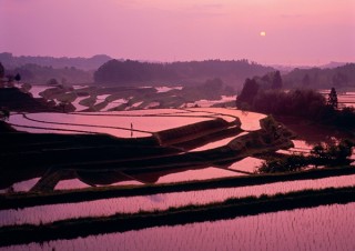 写真家であると同時に切り絵作家としても活躍する今森光彦氏の個展「写真と切り絵の里山物語」