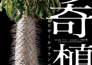 気になるフォント、知りたいフォント。| 書籍『珍奇植物 ビザールプランツと生きる／藤原連太郎、shabomaniac!』（2019.9.5）