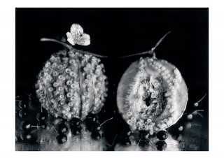 期間を2部に分けて今道子氏と佐藤時啓氏の作品を紹介する企画写真展「覚醒する写真たち」
