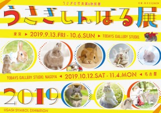 可愛いウサギの作品が集まる合同写真展＆物販展「うさぎしんぼる展 2019」