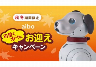 ソニーストア、アイボを迎えやすくなる『aibo可愛くオトクにお迎えキャンペーン』