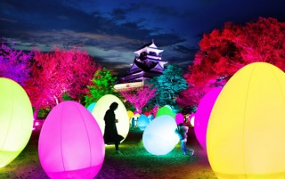 “鷹城”の別名を持つ高知城がアート空間に変わる「チームラボ 高知城 光の祭 2019-2020」