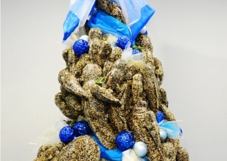 京都水族館、約100体のオオサンショウウオぬいぐるみで制作したクリスマスツリーを展示