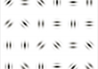 近眼にも老眼にも効く！ 脳内視力を高めるガボールパッチって？