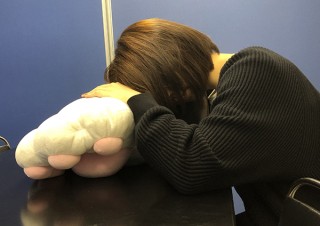 ヴィレヴァン、腕を通して利用できる猫の手モチーフの大きなクッションを発売