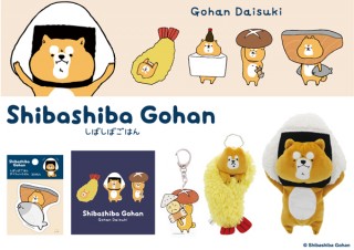 サンスター文具がオリジナル新キャラクター・くいしん坊なしば犬(?)「しばしばごはん」の新アイテムを発売