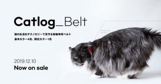 Catlog®がPendantベルトの単体販売をスタート！限定カラーのグレーも数量限定で登場