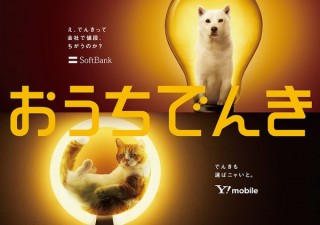 ソフトバンク、スマホ新規契約やMNPなどで「おうちでんき」の電気代3カ月間無料