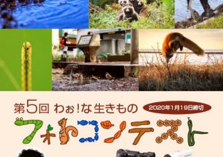 身近な自然で見つけた感動の写真とエピソードの募集「第5回わぉ！な生きものフォトコンテスト」