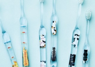 表も裏も楽しめる！“猫あるある”を詰め込んだ歯ブラシが『フェリシモ猫部™』から新登場