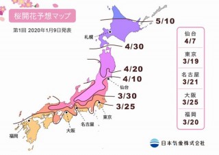 日本気象、「2020年第1回桜の開花･満開予想」を発表。東京は3月27日頃満開予想
