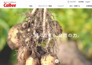 メインビジュアルはジャガイモ！ カルビーがコーポレートサイトを大幅リニューアル