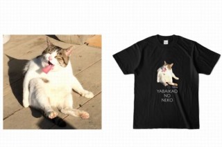 可愛いと思ったら真逆の表情が撮れた「ヤバイ顔の猫」Tシャツ発売 