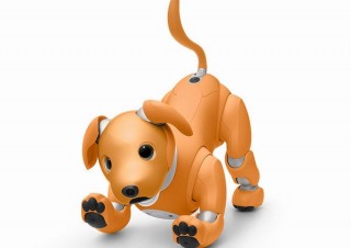 ロボット犬aiboの新色はキャラメル！ 優しさや温もりを感じられる2020年限定モデル
