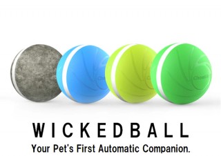 Qrosübo、留守番中のペットを楽しませる自動ペットトイWicked Ball先行販売開始