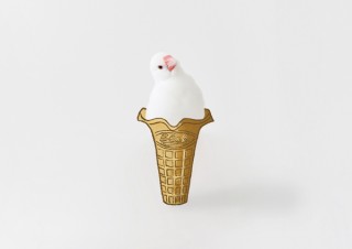 クリーム？ ケーキ？ しあわせの白い小鳥ベックの写真集「BECKBOOK」発売