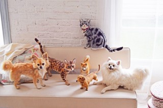 羊毛フェルト作家きりのみりい氏の個展「まるで本物！？超スーパーリアルな猫と犬」