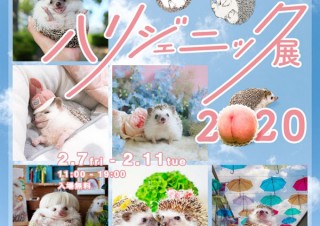 ハリネズミの写真やイラストやハンドメイド作品が集まる祭典「ハリジェニック展2020」