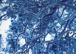 “雪に魅せられて”撮り続けた作品が紹介される藤田はるか氏の写真展「winter」