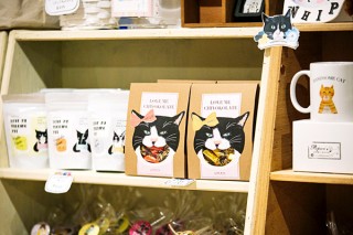 【2月22日は猫の日！猫×デザイン特集】保護猫たちが働く会社「LOVE & Co.」インタビュー！保護猫をデザインした雑貨＆撮り下ろしの猫写真も