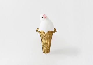 写真家と絵描きの堂園夫婦による白文鳥ベックの写真集の発売を記念した展覧会「BECKBOOK」
