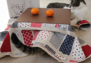猫専用こたつ付きみかん「猫と、こたつと、思い出みかん」、予約受付を開始