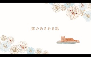 猫あるある！“猫マネキン”が登場する「PAUL & JOE ACCESSOIRES」のショートムービー