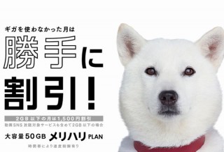 ソフトバンク、データ使用量が少ないと自動で1500円割引の「メリハリプラン」発表