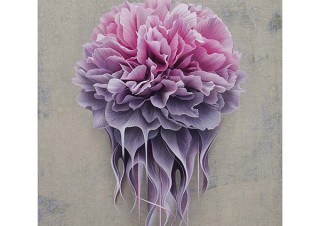 花をモチーフに精緻に描きこむ作品を制作している木村佳代子氏の個展「GRAVITY」