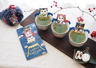 日本緑茶センター、かわいいネコ型の緑茶ティーバッグを発売