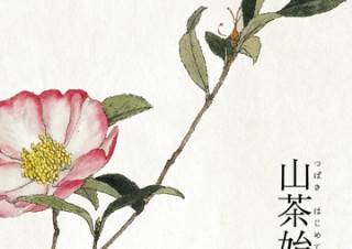 電通と平凡社、「うつくしいくらしかた研究所」プロジェクト活動第1弾としてiOS向け暦アプリ「くらしのこよみ」の提供を開始