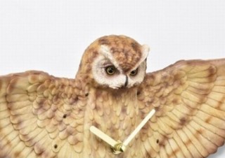 リアルなミミズクとムササビが壁にピタッ！存在感大の「動物壁掛け時計」発売