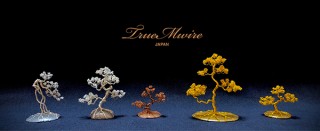 トゥルーエムメディカル、新ブランド「TrueMwire」から盆栽ワイヤーアートを8月以降に一般販売