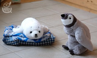 ヴィレヴァン、膝にのせて癒やされるペンギンとアザラシのぬいぐるみが登場