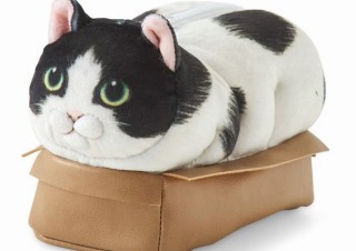 猫の体のほとんどが見えちゃってるのに安心した表情の「その箱絶対小さいよポーチ」