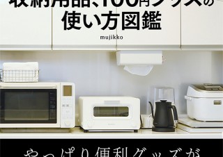 家じゅうのプチストレスを解消！ すごい収納用品、すごい100円グッズの使い方図鑑