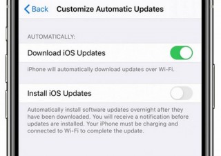 iOS13.6ベータ版、「最新版をダウンロードするけどインストールは手動」が可能に
