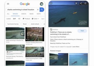 Google、画像検索にもファクトチェックのラベルを採用
