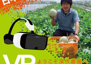 深作農園、自宅でメロン畑の雰囲気を楽しめる「VRメロン狩り」をリリース