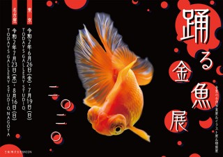 夏の風物詩の金魚が優雅に泳ぐ一瞬の美しさに注目した「踊る金魚展 2020」