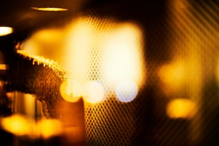 医療従事者を支援するWeb写真展「CATCH LIGHT いつか必ず開かれる写真展」開催中