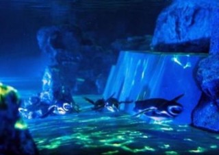 東京スカイツリータウン、タワーや展望台、水族館などで「花火」を演出
