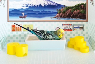 フェリシモ、小鳥が水浴びできるミニチュア銭湯を発売