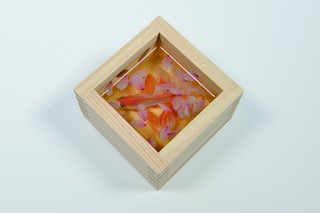 “金魚絵師”の深堀隆介氏による約100点の作品を紹介する展覧会「金魚愛四季」