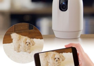 リッチェル、外出中の飼い主と留守番中のぺっとをつなぐ「見守りカメラ LOOK」を発売