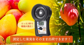 アタゴ、果実にあてるだけで糖度を測れるマンゴー用の「PAL-光センサー15」を発売