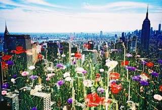 “アート＆パティスリー”として写真家のゴトウヨシタカ氏の作品が展示される「Into the dream」