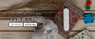 阪和、USB充電式のコンパクトなUV除菌ライトを発売